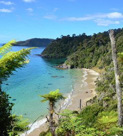 Stewart Island