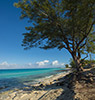 Ilhas Bimini