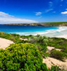 Ilha Kangaroo